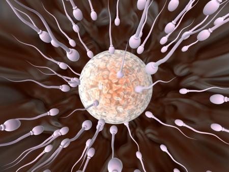 Genetic Effects Genetic mutations occur from incorrect repair of damaged chromosomes in egg or sperm cells. Ovaries can repair mild radiation damage.