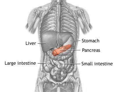 3 Secrets to Beating Pancreatitis