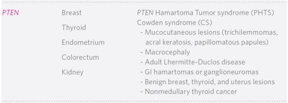 Li Fraumeni Syndrome Cowden syndrome High risk breast screening