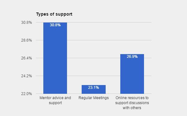 Chart 11: What kind of support do you receive at the moment?