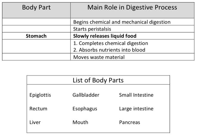 3 Study the chart and the List of Body Parts to decide which part performs each of the roles described on the chart.