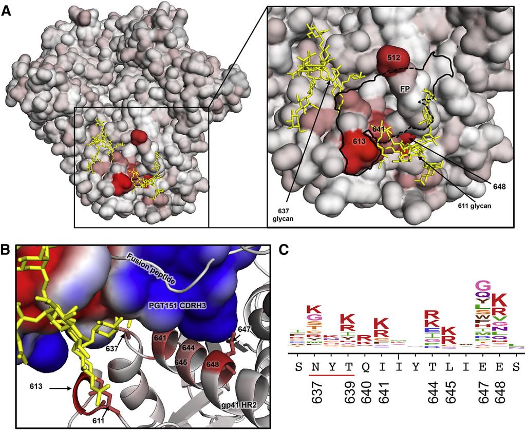 Figure 6. Mutational Antigenic Profiling Combined with Structural Analysis Suggests Escape via the Introduction of Charge Repulsions (A) The JR-FL EnvDCT trimer cryo-em model (Lee et al.
