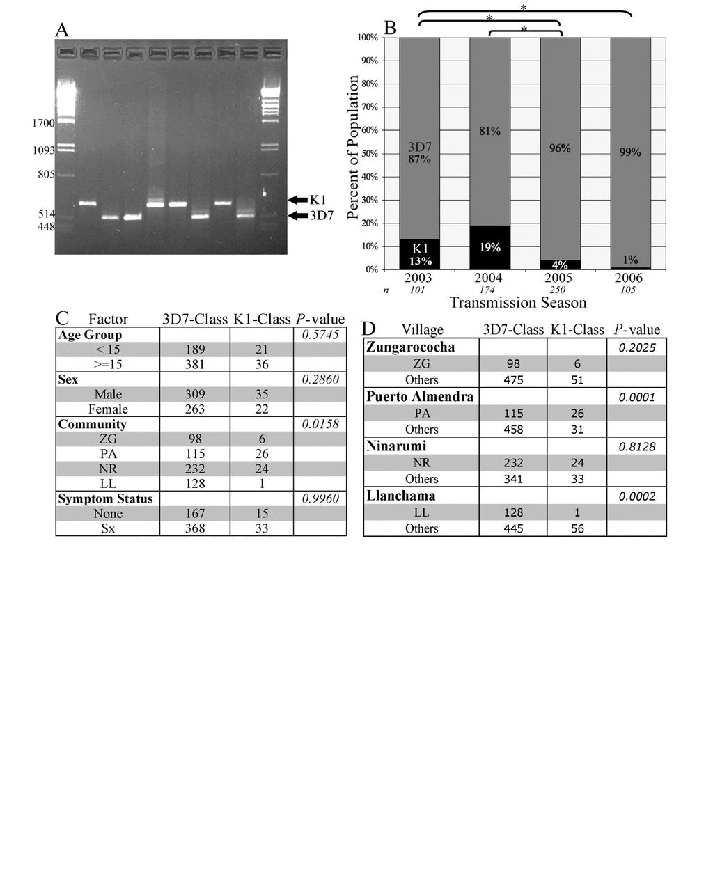 56 Figure 2. PfMSP3 allelic diversity in the Zungarococha community. (A) Agarose gel of nested PCR amplicons from P.