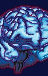 Research Neuropsychiatric Effects of Subthalamic Nucleus Deep Brain Stimulation in Parkinson Disease in China: A Yi Xie, Junjian Zhang, Jinsong Xiao Abstract Background: The effects of subthalamic