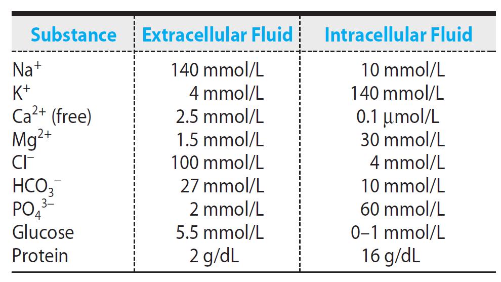 The ionic compositions of intracellular and extracellular fluids