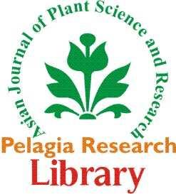 Chavan College of Pharmacy, Aurangabad (MS) ABSTRACT The present study was designed to evaluate the effects of Moringa oleifera Lam. pods in the alloxan treated diabetic rats.