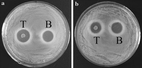 3 X. Q. Zeng et al.: Functional Characteristics of L. fermentum F1 results showed that L. fermentum F1 had good bile salt tolerance. For L. fermentum F1, the zones of inhibition for E. coli and S.
