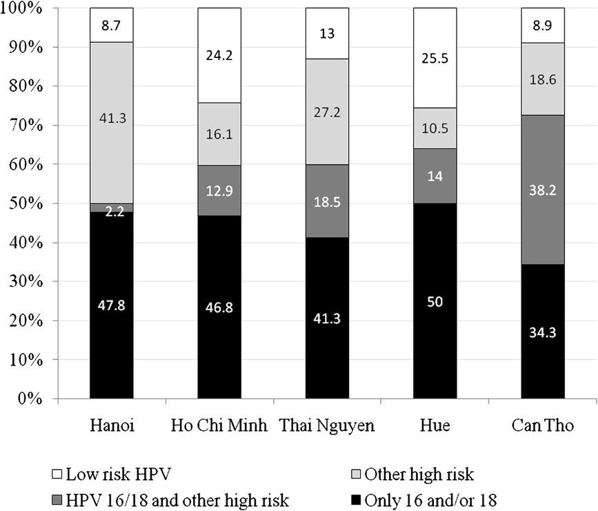 Vu et al. BMC Cancer 2013, 13:53 Page 3 of 7 Figure 2 Distribution of infection with HPV 16 and/or 18 and other HPV types among 5 cities. and Thai Nguyen.