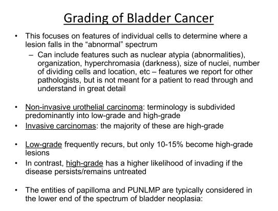 how to understand and put your report in context. To start off with, we'll talk about the grading of bladder cancer.