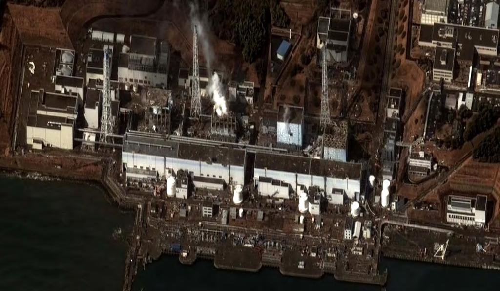 Fukushima Daiichi Nuclear Disaster Ttal Diet radinuclide data was