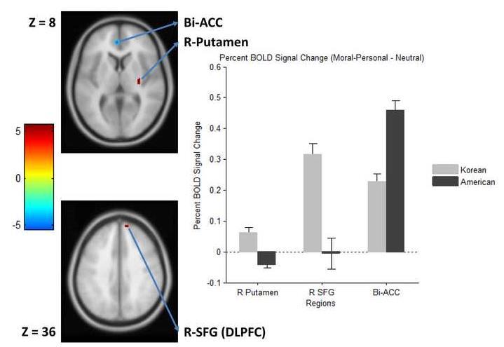 Fig. 5. Results of whole-brain contrast between Korean and American participants for (moralpersonal neutral) condition, p <.001, k 12.