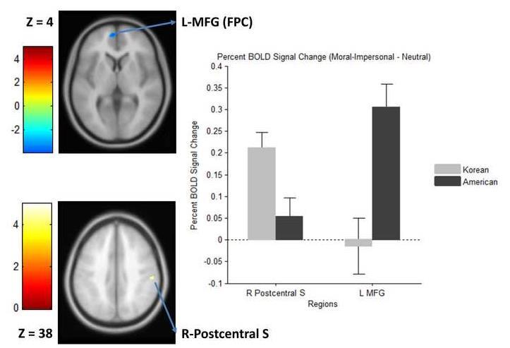 Fig. 7. Results of whole-brain contrast between Korean and American participants for (moralimpersonal neutral) condition, p <.001, k 12.