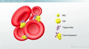 FUNCTIONS OF FATTY ACIDS ² Useful in the treatment of atherosclerosis by transport of blood cholesterol, triglycerides