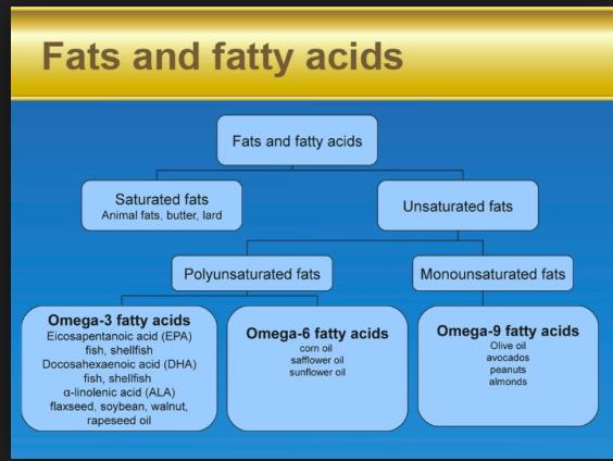 It is known that two types of fatty acids are considered essential.