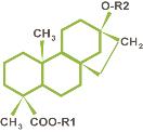 Major glycosides in the Stevia plant Steviol glycosides Sweetening power relative to sucrose R1 (C-19) R2 (C-13) Stevioside 150 300 b -Glc b-glc-b-glc(2-1) Rebaudioside A 200-400 b-glc Rebaudioside B