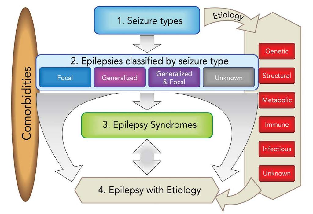 Proposed Framework for Epilepsy Classification