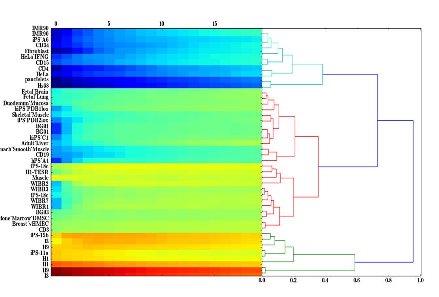 Figure 18. Hierarchical Cluster Analysis on HERV-H/H3K4me3 F score based association in function of the window size (horizontal axis). F score is represented in color scale as in Figure 17.