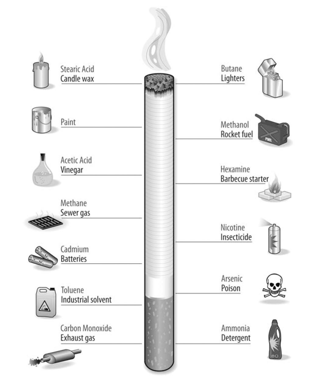 environmental tobacco smoke, consists of exhaled smoke and smoke given off by the burning end of tobacco products. The harmful effects of smoking extend far beyond the smoker.
