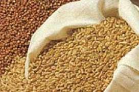Introduction The Use of Naturally Occurring Minerals in Animal Feed The term usually applied to food prepared for domesticated livestock is fodder which is primarily composed of natural organic