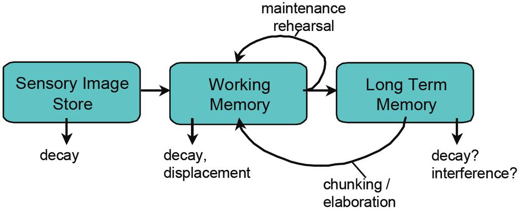 Memory pipeline: Stage theory Working memory is small Temporary storage: decay, displacement Maintenance rehearsal Rote repetition Information must be meaningful to learn
