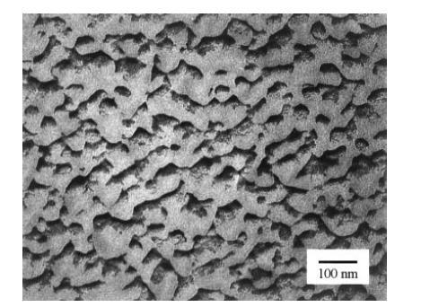Figure 2-3: Electron Micrograph of a typical texture of bicontinuous microemulsions [21] Research work carried out by Garti et al. [48] revealed the principle of phase inversion for microemulsions.