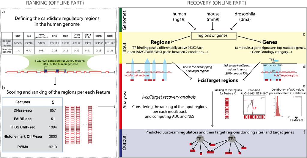 i-cistarget cis-regulatory sequence analysis on enhancer signatures Similar rank & recovery approach to