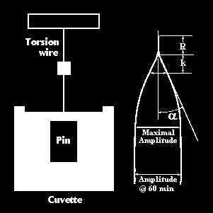 The motion of the pin is converted by the transducer into a trace either on paper or, more usually now, onto a computer. The TEG is effectively measuring the shear modulus of the clot.