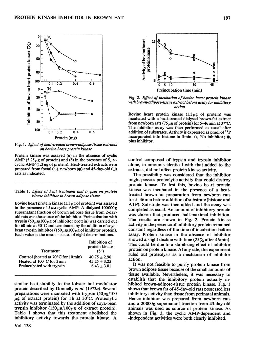 PROTEIN KINASE INHIBITOR IN BROWN FAT 197 Fig. 1. 1-% 4)