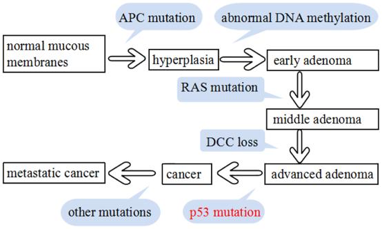 6 Tumor Biology Table 4. Multivariable analysis of the prognostic roles in CRC patients. Parameters DFS OS HR 95% CI p value HR 95% CI p value Gross type 0.885 0.715 1.096 0.262 0.919 0.736 1.147 0.