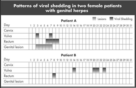 *Shedding in the absence of lesions Shedding rates can vary based upon time since diagnosis, frequency