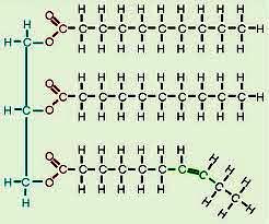 10. Carbohydrate molecules have which of the following structure F. G. H. J. c B.9.A R 11.