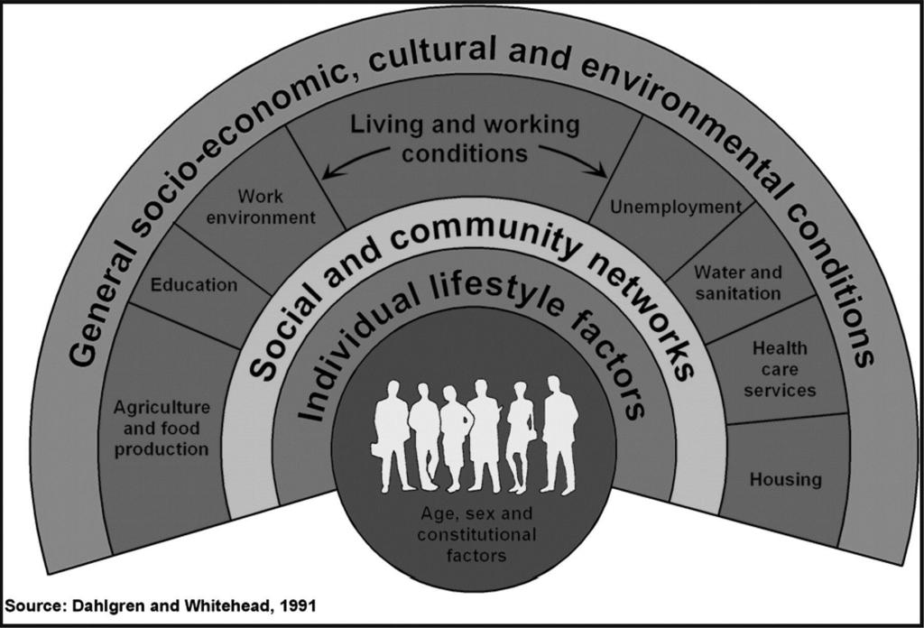 Dahlgren and Whitehead's model of the (social) determinants of health.