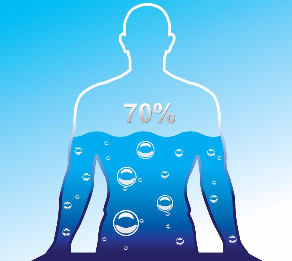 Body Water & Electrolytes Largest component in body Approx.