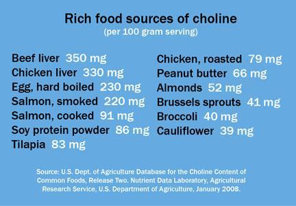 Food sources of choline - food sources of choline are high in fats