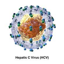 Introduction Hepatitis C is an contagious disease caused by the hepatitis C virus (HCV) that primarily affects the liver.
