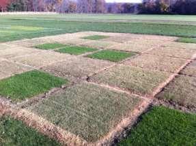 However, the warm-season plots required no fungicide or herbicide applications. b Figure 5.