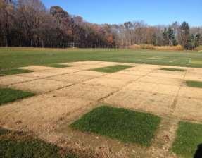 Physical characteristics of sports turf rootzones amended and top dressed with rubber crumb. J. Turfgrass Sci. 77:59-70. Figure 6.