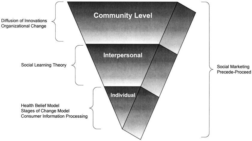 DM INTERVENTIONS: WHAT S IN THE BLACK BOX? 277 FIG. 1. The behavior modification inverse pyramid. Models are presented according to targeted intervention levels.