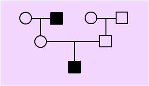 Pedigree Analysis Pedigree a chart of family history with regard to a particular genetic trait Symbols Males square Females circle Shaded affected Not shaded normal Line between circle and square