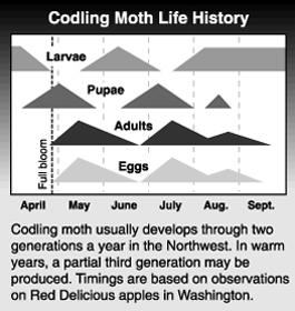 Predicting Codling Moth Overwinter as mature larvae
