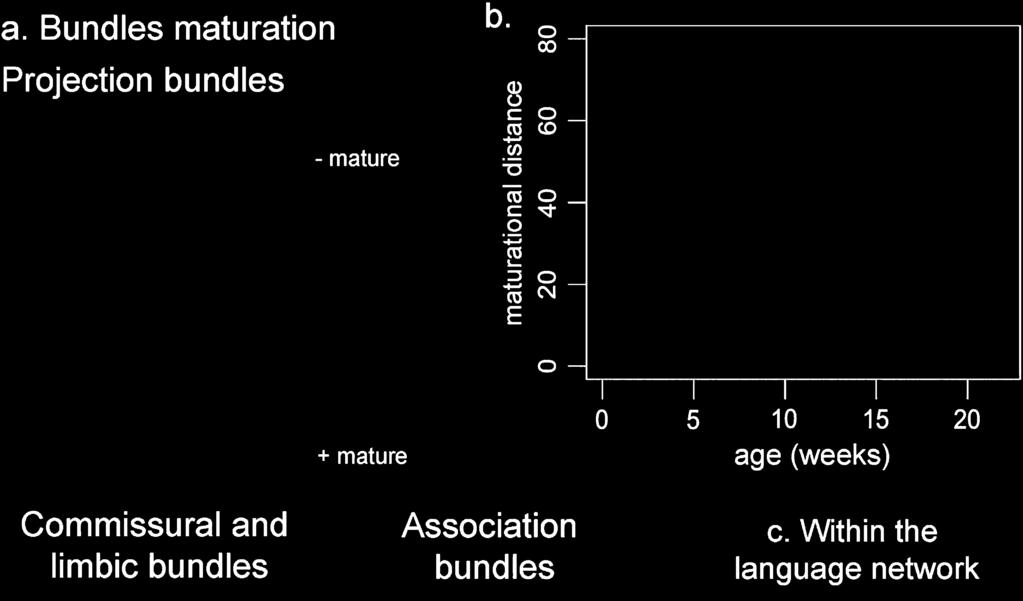multi-parametric approach that computes the maturational distance relative to the adult stage (adapted from [8, 40]). b.