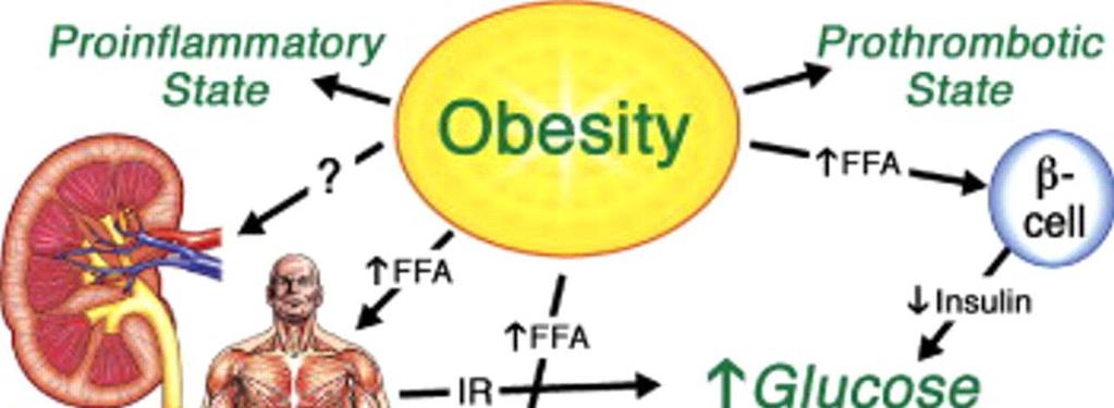 Metabolic Pathways Underlying Pre-Diabetes and