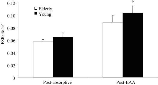 Adequate quantity of EAA improves muscle protein synthesis Mixed muscle fractional synthetic rate (FSR) in young and elderly before and after ingestion