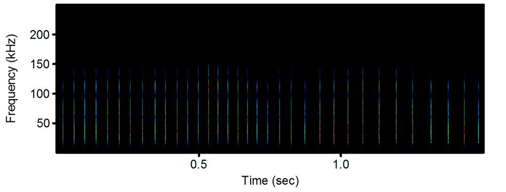 Figure 2. Spectrograms showing 1.5 second examples of clicks performed by Dolphin A (top panel) and Dolphin B (bottom panel) as recorded by a contact hydrophone place on the melon of the dolphin.