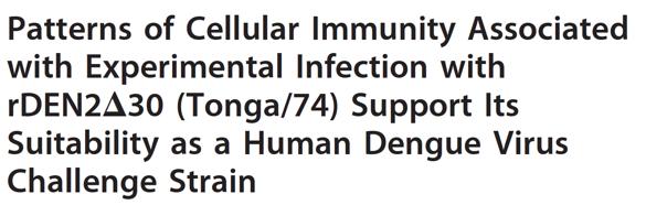 Progress on Searching for a Dengue CoP Human Challenge Studies Infection Model 12 Benchmark