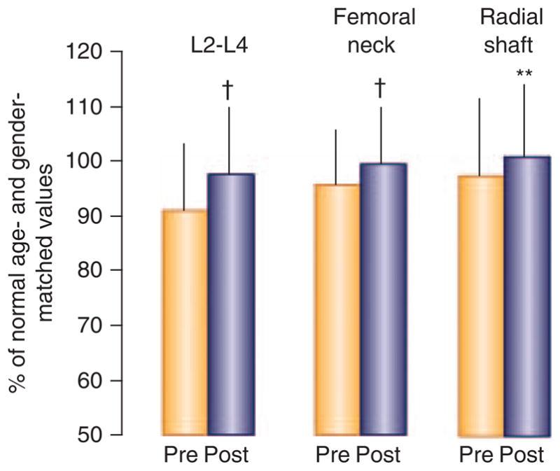 The effect of thiazide/indapamide and K-Cit on BMD of the L2 L4 spine, femoral neck, and radial shaft of hypercalciuric kidney stone formers Data are expressed as percentage of normal, matched for