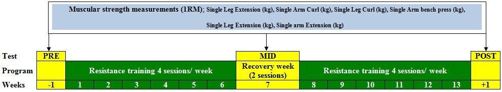 Experimental design The main objective of the present study was to compare the strength gains between DUP and WUP resistance training program over 13 weeks of training.