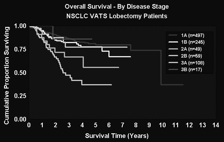 Survival Following Surgery for Stage I NSCLC Failure-Free Survival CALGB 39802 Author # Patients 5-year Survival Martini 128 72% Williams 461 71% Teramachi 121 71% Mountain 725 68% Naruke 536 65%