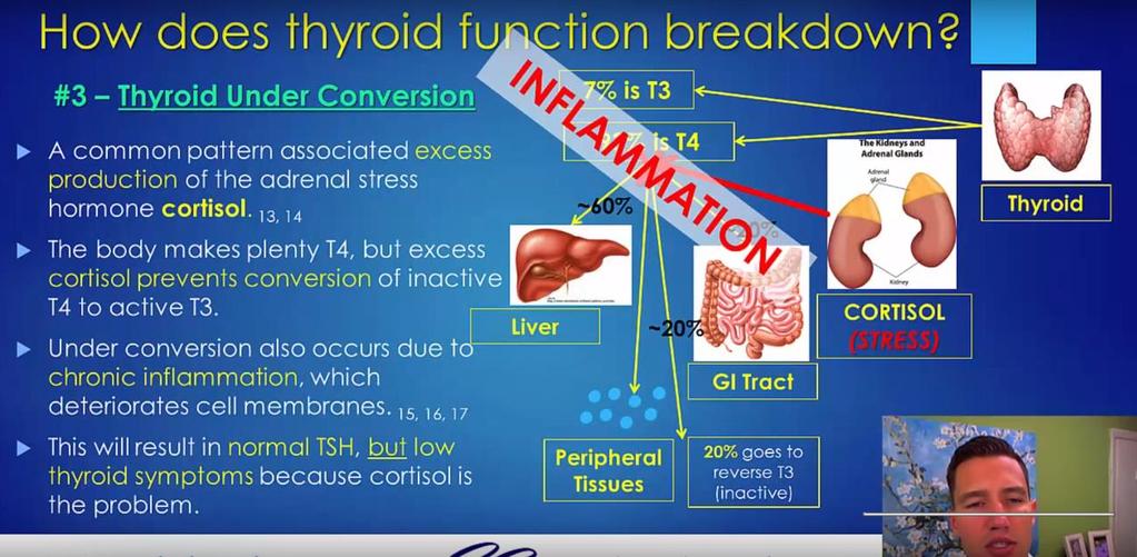 Page9 Before continuing, if you have not watched my video explaining the common ways the thyroid breaks down, then watch this now.