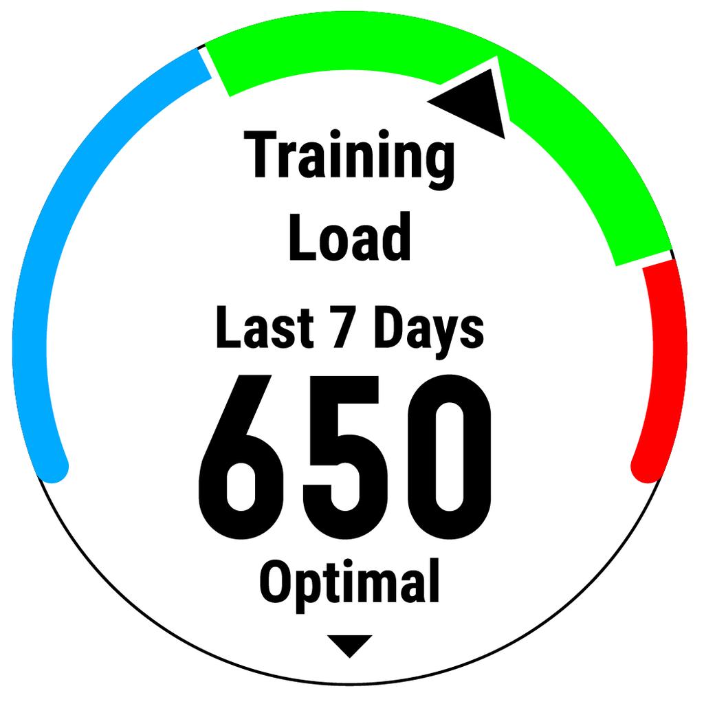 TRAINING LOAD Training load A single metric that reports the combined total load of your recent training activities.